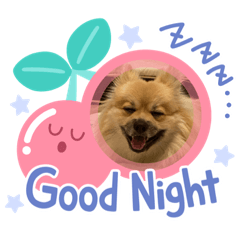[LINEスタンプ] chachaまる