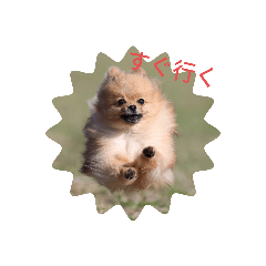 [LINEスタンプ] つぶやきココちゃん2