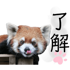 [LINEスタンプ] 市川市動植物園スタンプ