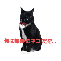 [LINEスタンプ] 塗装猫形部