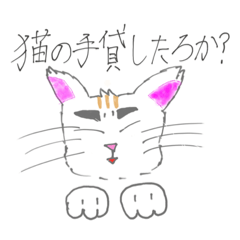 [LINEスタンプ] 猫田にゃにゃ丸