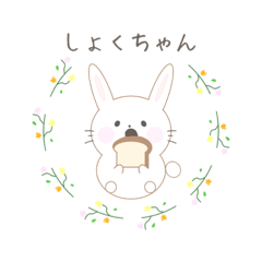 [LINEスタンプ] しょくちゃん