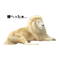 [LINEスタンプ] シュール(ANIMAL)