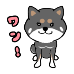 [LINEスタンプ] 黒柴チャコのスタンプ