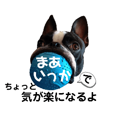 [LINEスタンプ] 発達障害★ご家族や支援者の方々の気持ち