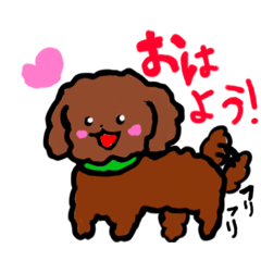 [LINEスタンプ] トイプードルおちゃスタンプ