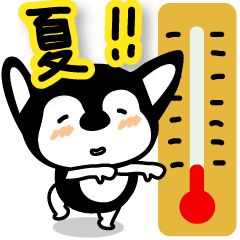 [LINEスタンプ] チワワの夏。【どんだけ暑いねん！！！！】