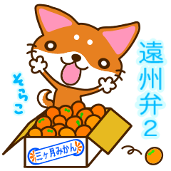 [LINEスタンプ] 柴犬そらこ【遠州弁】2 静岡県