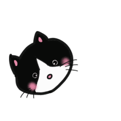 [LINEスタンプ] かわいい猫たちの動くスタンプ