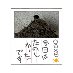 [LINEスタンプ] 癒やされますなっ