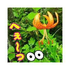 [LINEスタンプ] 山野草 その10