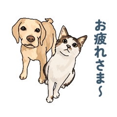 [LINEスタンプ] ビーグル＆ネコ1