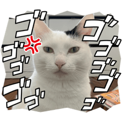 [LINEスタンプ] OTAスタンプププ