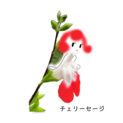 [LINEスタンプ] morikoのお花スタンプ 夏編