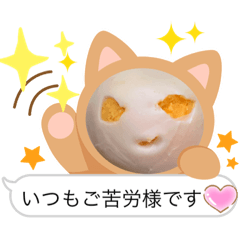 [LINEスタンプ] こんにちは。たまごさん