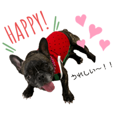 [LINEスタンプ] LURO C.Z.ルーシーとロージー