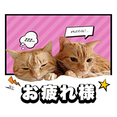 [LINEスタンプ] ウタとウミのほのぼの日記