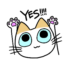 [LINEスタンプ] BUDDY THE CAT