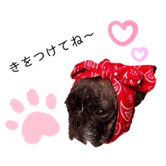 [LINEスタンプ] LURO C.Z.ルーシーとロージーで