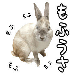 [LINEスタンプ] もふもふなうさぎ第2弾（もふうさ）