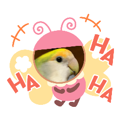 [LINEスタンプ] インコちゃん達Parakeet