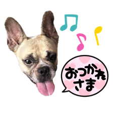 [LINEスタンプ] LURO C.Z.ルーシーとロージーは