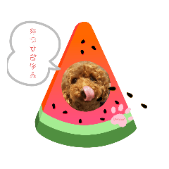 [LINEスタンプ] あいらぶbonny2