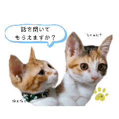 [LINEスタンプ] ♡つくし♡なずな♡日常スタンプ