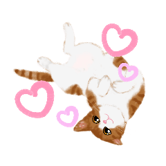 [LINEスタンプ] うちの猫(コ)みつけた♪スタンプ