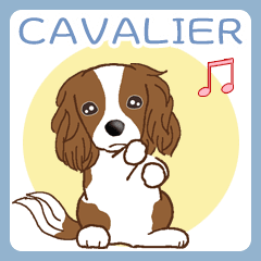 [LINEスタンプ] Cavalier キャバリア Ver2(毎日使える)
