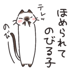 [LINEスタンプ] 糸目シャムの日常スタンプ