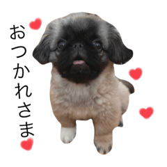 [LINEスタンプ] ぼくたかもり。