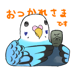 [LINEスタンプ] 【毎日使える】インコのクーちゃんスタンプ