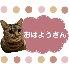 [LINEスタンプ] さくらみみ①