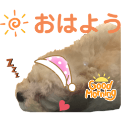 [LINEスタンプ] 動物  スタンプ♡