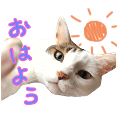 [LINEスタンプ] 妖怪たちのスタンプ