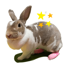 [LINEスタンプ] みみちゃん 2