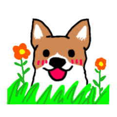 [LINEスタンプ] コーギーのめかぶちゃん