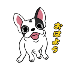 [LINEスタンプ] フレブルまるちゃんのスタンプ