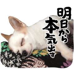 [LINEスタンプ] そら      スタンプ