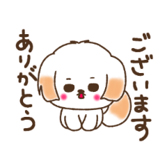 [LINEスタンプ] ゆるシーズー☆ゆるーい日常