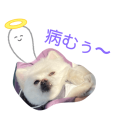 [LINEスタンプ] モカラニアン7