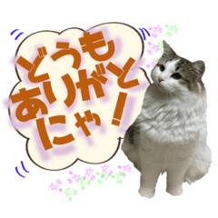 [LINEスタンプ] こうめさん21