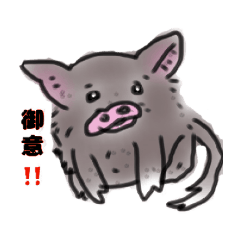 [LINEスタンプ] ブタまみれ！