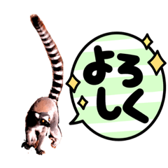 [LINEスタンプ] 世界の国から マダガスカル編パート②