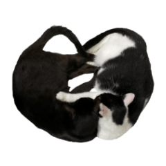 [LINEスタンプ] トムとハチ