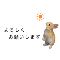 [LINEスタンプ] むぎぞーくんスタンプ