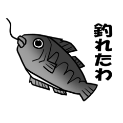 [LINEスタンプ] チヌチヌ(クロダイ釣り)