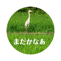 [LINEスタンプ] ちりんの憩い