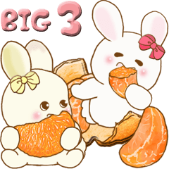 [LINEスタンプ] 【Big】ぽっちゃりウサギ 3『フルーツ』の画像（メイン）